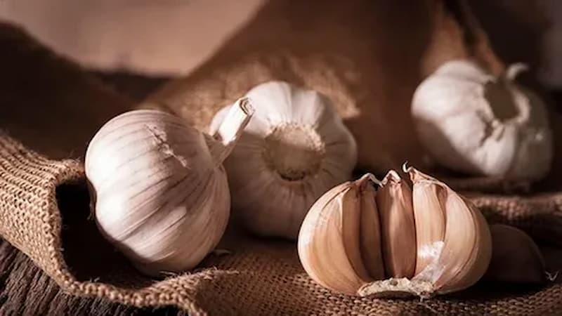 سیر فارس کوچک با حبه‌ های ریز و بافت متراکم